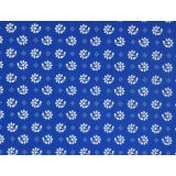 Kamilka biela na modrej