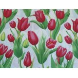 Tulipány v záhrade