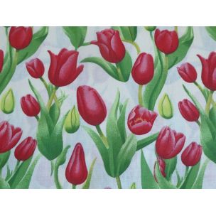 Tulipány v záhrade