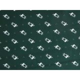 Slovenská šípka na zelenej