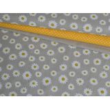 Malé margarétky na režnej