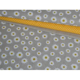 Malé margarétky na režnej