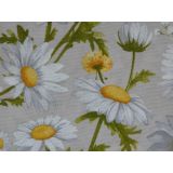 Margaréty na režnej