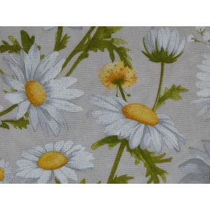 Margaréty na režnej