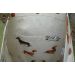 Taška s vreckom Jazvečíci